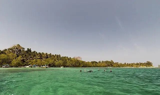 havelock, andaman, island - https://www.pexels.com